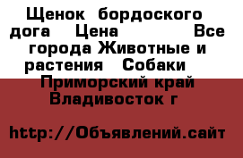 Щенок  бордоского  дога. › Цена ­ 60 000 - Все города Животные и растения » Собаки   . Приморский край,Владивосток г.